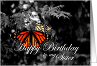 Happy Birthday Sister Monarch Butterfly card