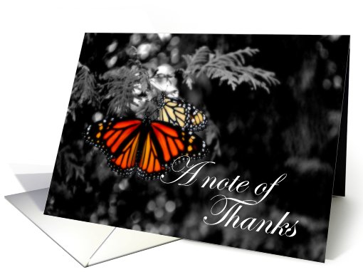 Note of Thanks Beautiful Monarch Butterfly card (721104)