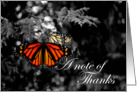 Note of Thanks Beautiful Monarch Butterfly card