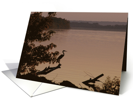 Flowing Ripples card (518644)