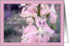 Pink Flower Blossom Birthday card