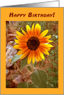 Sunflower Happy Birthday card