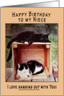 Niece Happy Birthday Cats on Crate card