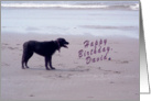 Happy Birthday Dog on Sandy Beach card