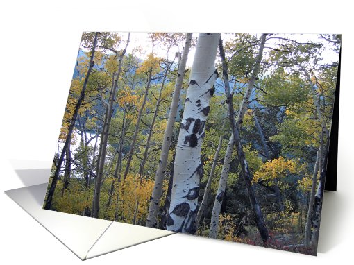 Autumn Aspens by Mountain Lake card (514128)