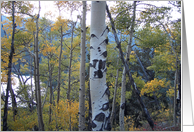 Autumn Aspens by Mountain Lake card