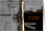 Dragonflies for Father in Sympathy card
