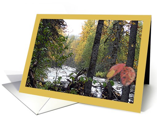 Denali Creek Alaska Fishing Autumn card (515265)