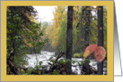 Denali Creek Alaska Fishing Autumn card