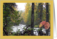 Denali Creek Alaska Fishing THANK YOU card