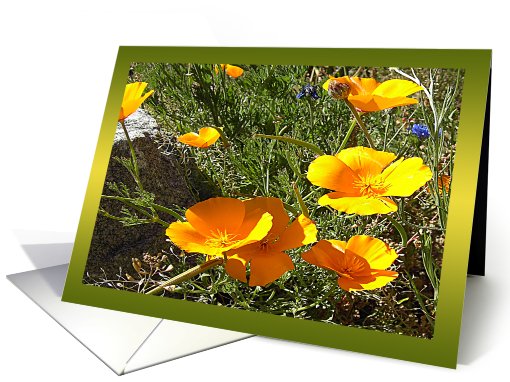 Happiness California Poppies Notecard card (515295)