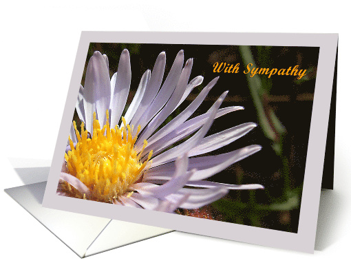 With Sympathy Delicate Flower card (521187)