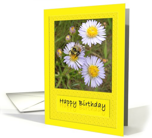 Happy Birthday Bee on Daisy card (522919)