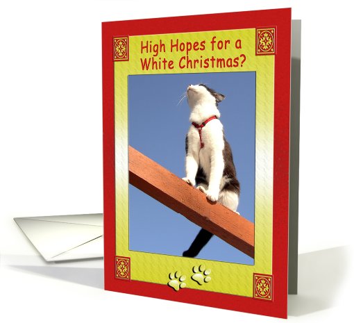 White Christmas Tuxedo Cat Humor card (522955)