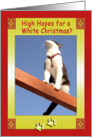 White Christmas Tuxedo Cat Humor card
