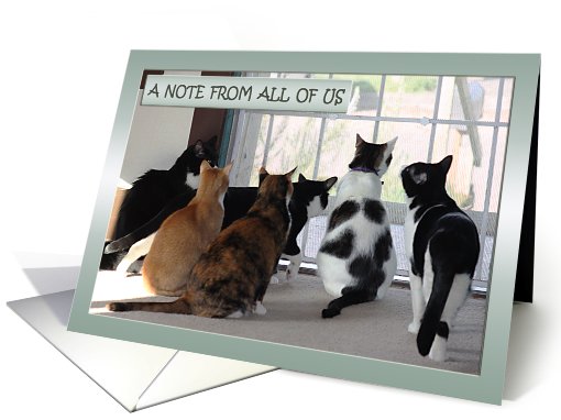 A Note from All of Us Six Kitties card (597381)