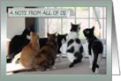 A Note from All of Us Six Kitties card