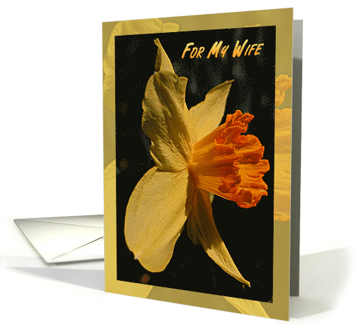 My Wife on Mother's Day Daffodil card (608244)