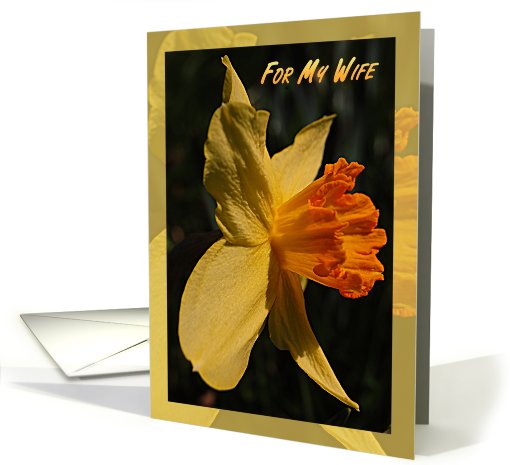 For My Wife Birthday Daffodil card (608247)