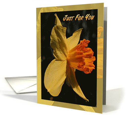 Just For You Note Card Daffodil card (608251)