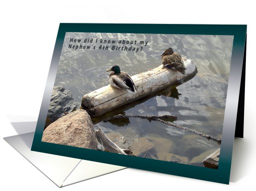 Nephew 4th Birthday, Mallards on a log card (613060)