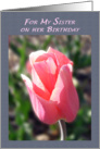 My Sister Birthday Pink Tulip Flower card