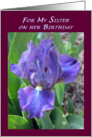 My Sister Birthday Iris Flower card