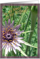 Thistle To My Niece on Her Birthday card