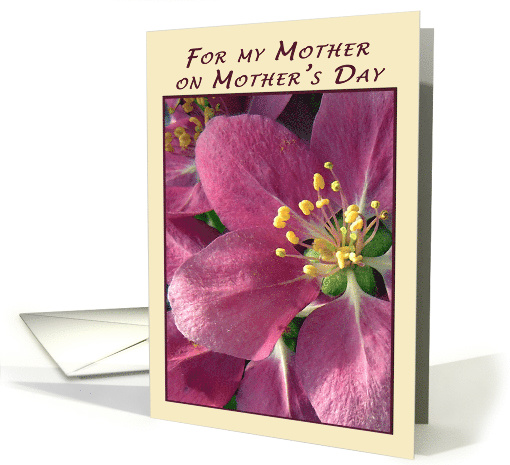For my Mother on Mother's Day Blossom card (812562)