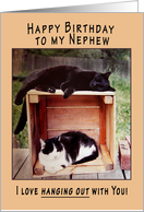 Nephew Happy Birthday Cats on Crate card