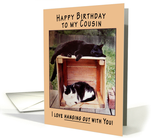 Cousin Happy Birthday Cats on Crate card (834570)