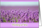 Snowshill Lavender - Thinking of you card