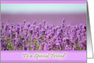 Snowshill Lavender - To a Special Friend - Friendship card