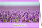 Snowshill Lavender - Good Luck Wishes card