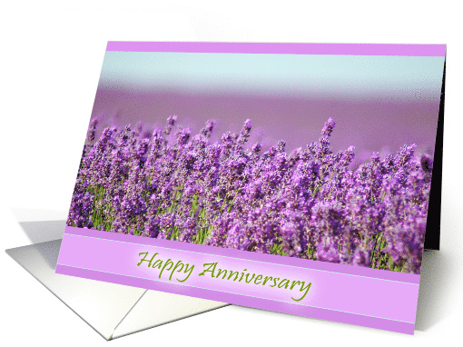 Snowshill Lavender - Happy Anniversary card (510027)