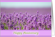 Snowshill Lavender - Happy Anniversary card