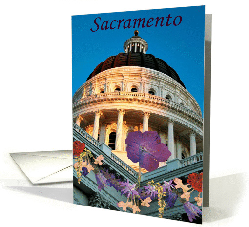 Sacramento card (508981)