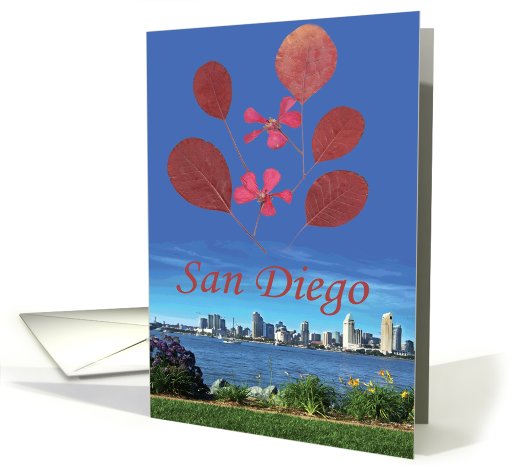 San Diego card (508982)