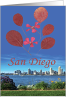 San Diego card
