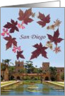 San Diego card