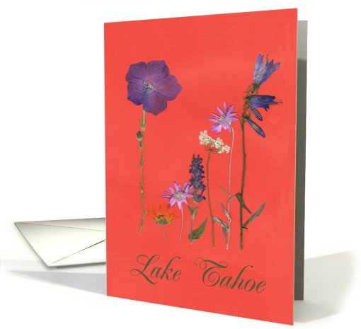 Lake tahoe card (508988)