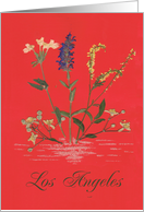 Los Angeles card