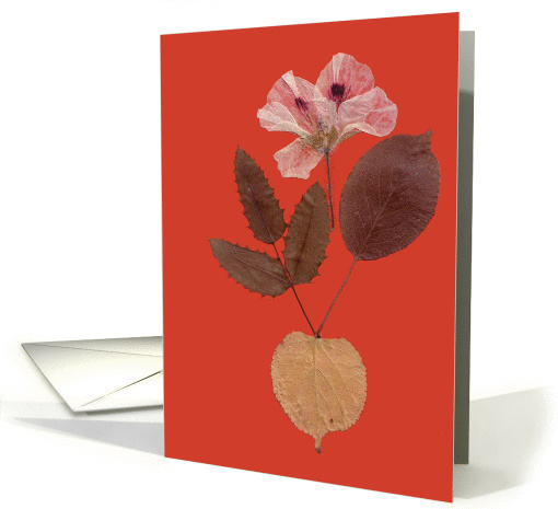 Thank You card (509002)