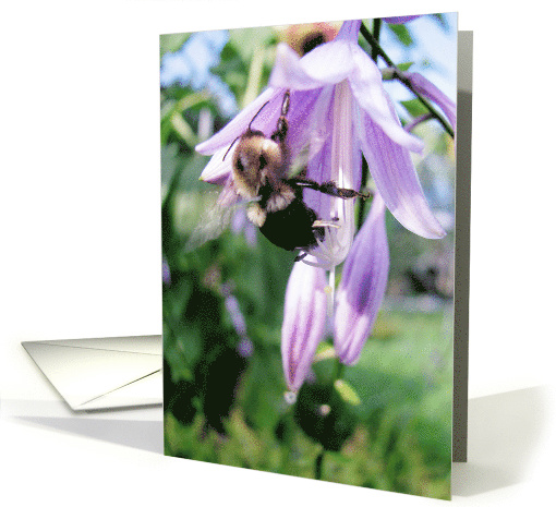 Flower Bee card (514868)