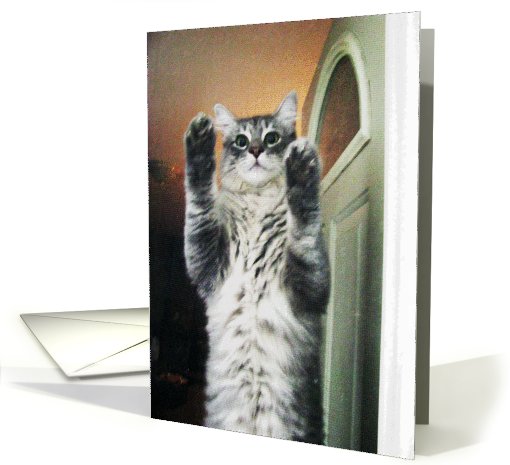 Upright Cat card (514905)