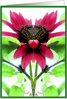 Blooming Heart card