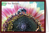 Birthday Bee card