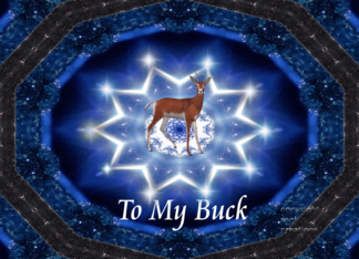 To My Buck
