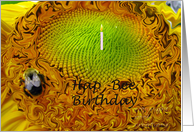 Birthday Cake card