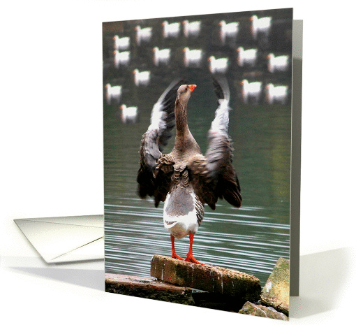 Canadian Goose Conducting An Orchestra card (525895)